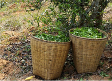 Load image into Gallery viewer, Puerh Tea: Sifu Puerh