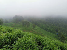 Load image into Gallery viewer, Green Tea: White Jade (Chinese Gyokuro) Fresh Harvest!