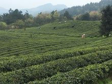 Load image into Gallery viewer, White Tea: White Peony (Premium) Fresh Spring Harvest!